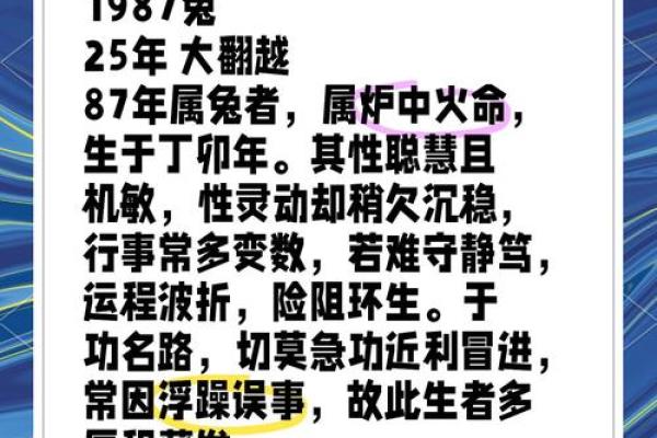 87年兔2025年运势及运程_2025年十一月生肖兔运势详解87年属兔人11月运程指南