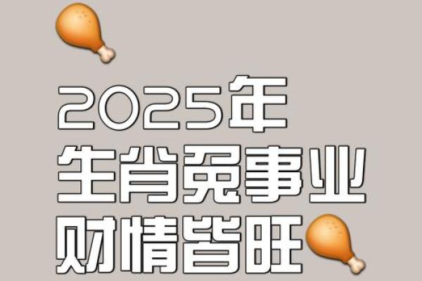 属兔的今年多大_属兔的今年多大了2025年