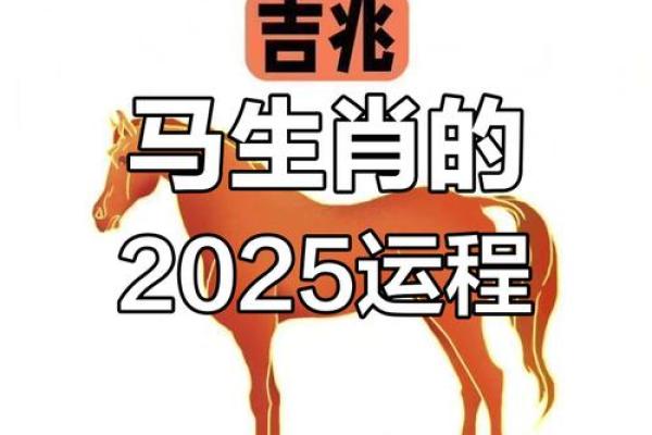 2002年属马2025年运势_2025年属马运势全解析2002年出生者乙巳年运程指南