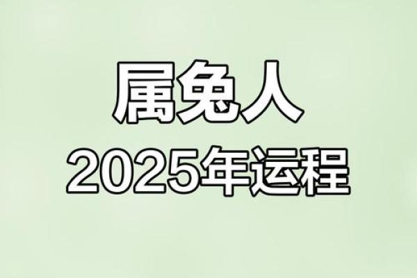 2025年属兔几月出生最好_2025年属兔最佳出生月份解析五月5月运势旺