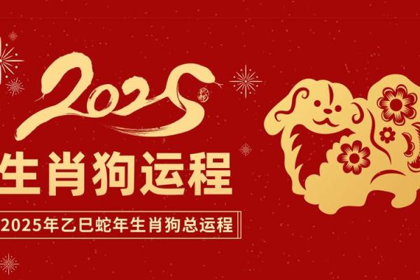 1982属狗2025年运势及运程_82年属狗人43岁大劫
