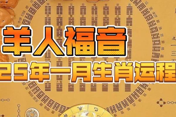 属羊人2025年财运_属羊人2025年财运如何