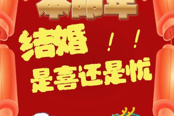 2023年十一月属兔运势财运解析2023年11月兔人运程指南