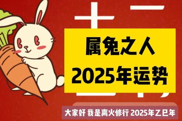 2025年属兔人全年运势详解财运事业健康运程全解析