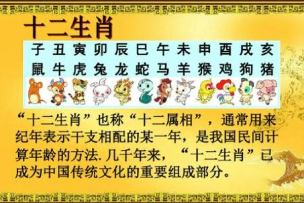 属羊的今年多大岁数了_属猪的今年多大几岁