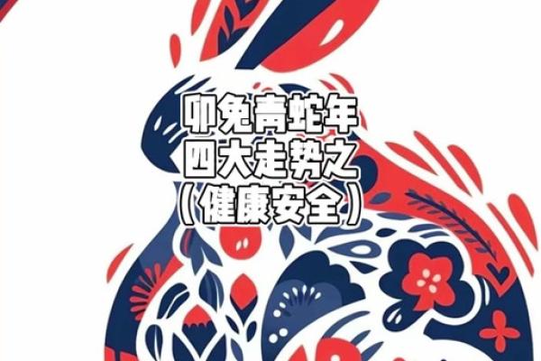 1975年属兔2025全年运势_2025年属兔全年运势详解1975年生逐月运程指南