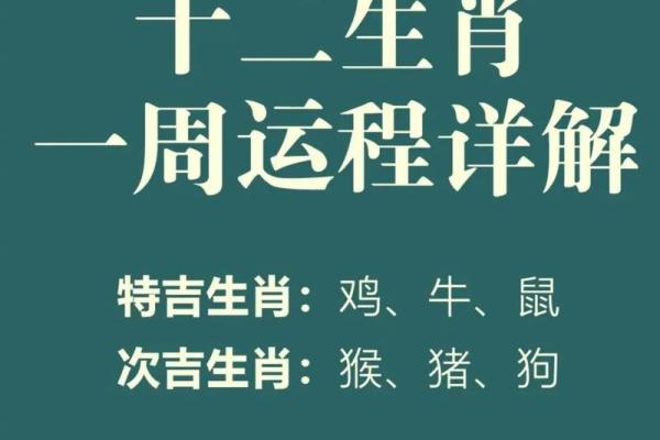 2024属羊人全年运势解析财运事业运如何