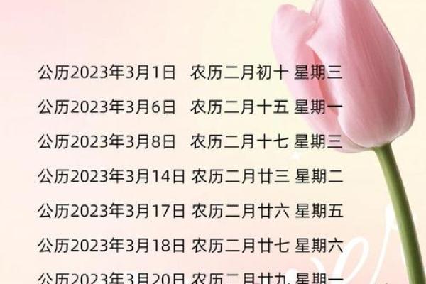 搬家适合的日子