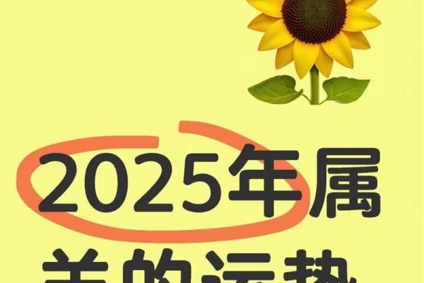 属羊今年多大2025年 属羊今年多大2025年多大