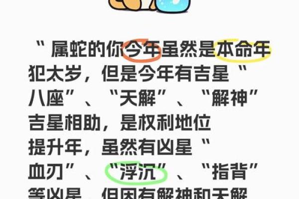 2025蛇的最佳结婚吉日_2025年属蛇人结婚吉日推荐生肖蛇最佳婚期挑选指南