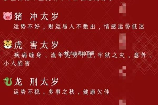 2025蛇的最佳结婚吉日_2025年属蛇人结婚吉日推荐生肖蛇最佳婚期挑选指南