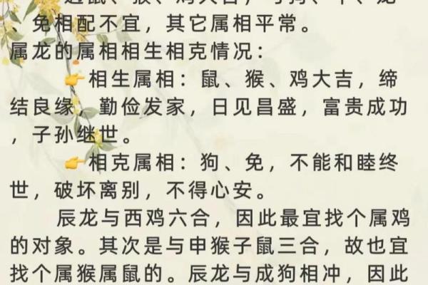 男鼠和女羊的属相适合结婚吗_男鼠女羊属于上等婚姻