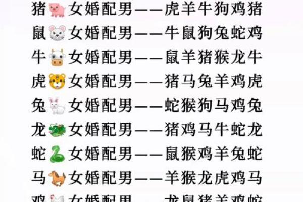 男鼠和女羊的属相适合结婚吗_男鼠女羊属于上等婚姻
