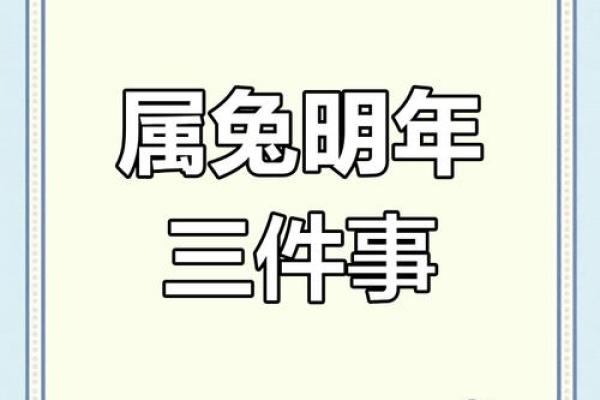 2025年属兔人运势全解析事业财运健康精准预测