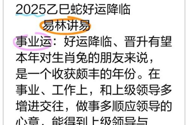 2025年属兔人运势全解析事业财运健康精准预测