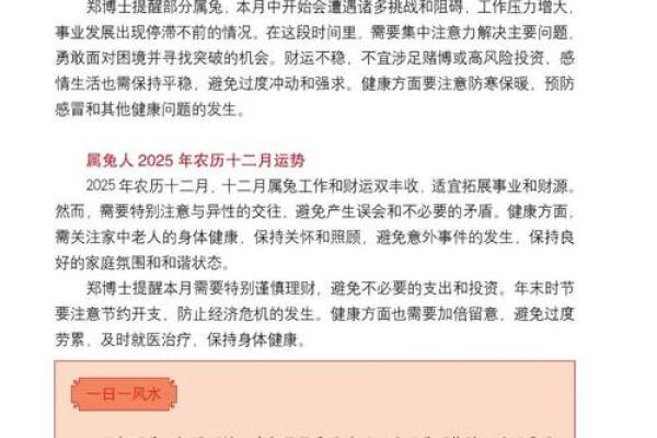 87属兔女2025年的运势及运程_2025年运势详解与全年运程解析87年属兔女2025运程指南