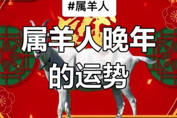1979年属羊女人2025年运势及运程如何解析_1979年羊女2025年运势完整版