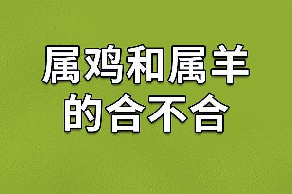 属羊男和属鸡女相配吗 属羊男和属鸡女相配吗生肖婚配解析与幸福指南