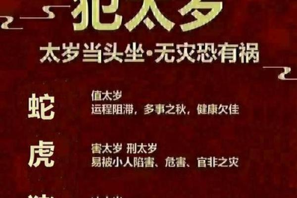 属蛇的人搬家吉日