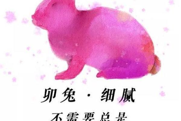 2025年属兔的幸运颜色_2025年属兔幸运颜色指南2025年生肖兔开运色彩解析