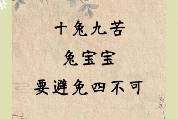2025年十一月兔肖运势解析2025年11月生肖兔运程指南