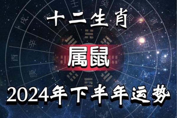 1972年属鼠人2025年运势运程每月运程_1972年属鼠人2025年运势运程每月运程宋韶无