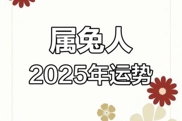 2025属兔的今年多大_2025年十二月属兔人年龄解析2025年12月生肖兔岁数查询