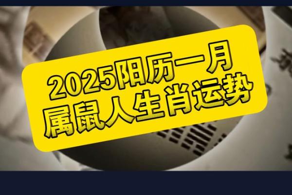 1996年属鼠女2025年的运势和婚姻_2025年1996年属鼠女的每个月运势