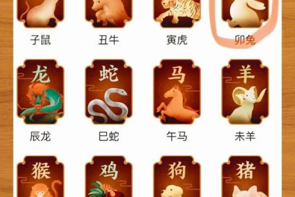 1975属兔男2025年每月运势及运程 2025年属兔男每月运势解析1975年生肖兔各月运程指南