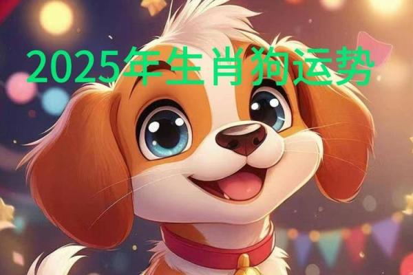 1970属狗女2025年全年的运势_1970女狗到2025运气