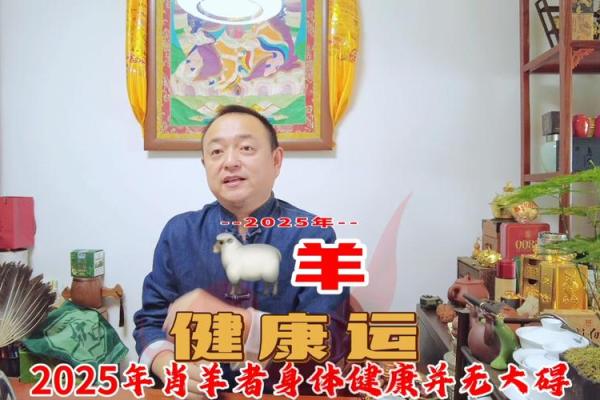 2025年79属羊人的全年运势 2025年79年属羊人全年运势详解财运事业健康全解析