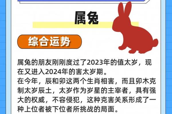 1987年属兔人2025年运势详解及注意事项