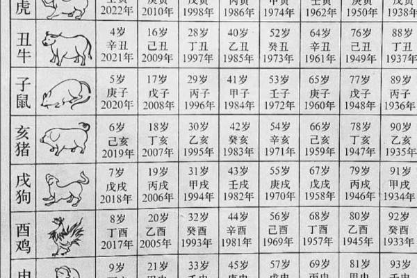 2025年属兔的年龄_2025年属兔的年龄是多少岁