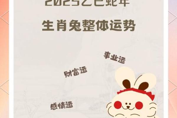 1987年属兔2025年的每月运势及运程 1987年属兔2024年运势及运程每月运程