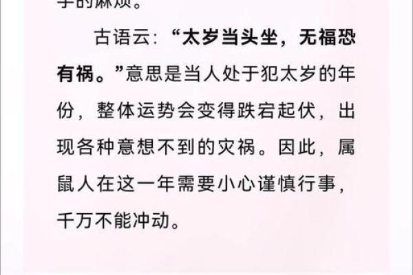 2025年的属鼠的运势 2025年属鼠人全年运势解析2025年每月运程详解