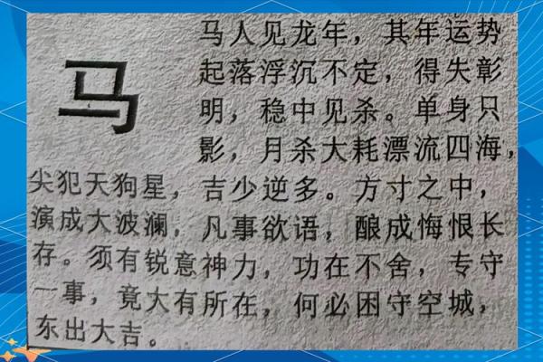 1978年属马2025年运势及运程 2025年1990年属马运势