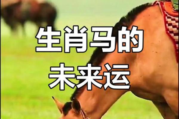 1978年属马2025年运势及运程 2025年1990年属马运势