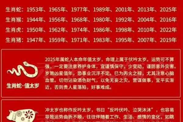 01年属蛇人2025年运势运程_2025年运势详解01年属蛇人二〇二五运程全指南
