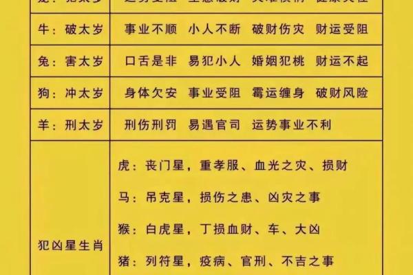 2024年十一月属兔年龄解析2024年11月生肖兔岁数查询