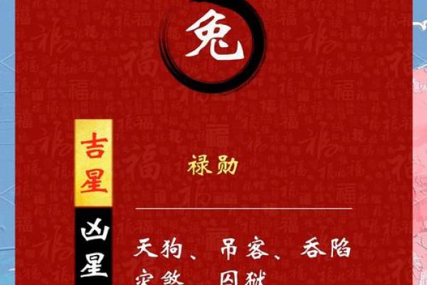 属兔2025年运势及运程 2025年属兔全年运势详解每月运程指南