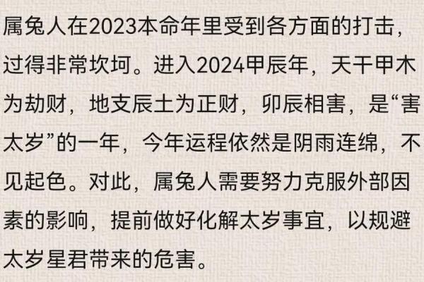 2025年属兔运势及运程 2025年属兔全年运势详解2025年112月运程指南