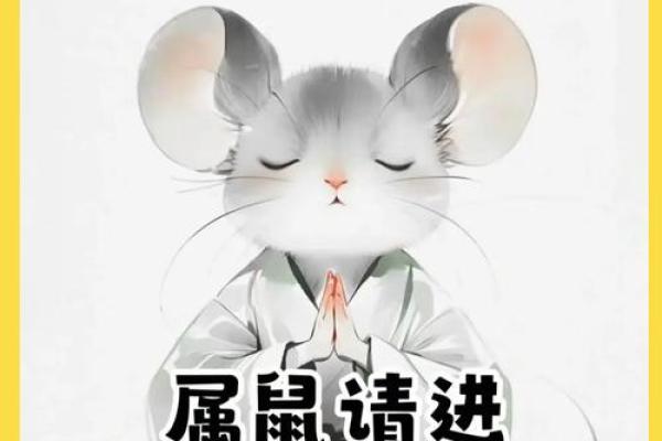 1972年属鼠2025年运势_2025年农历每月运势解析1972年属鼠运程全指南