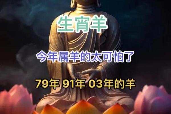 91年属羊多大了_属羊的周岁多大