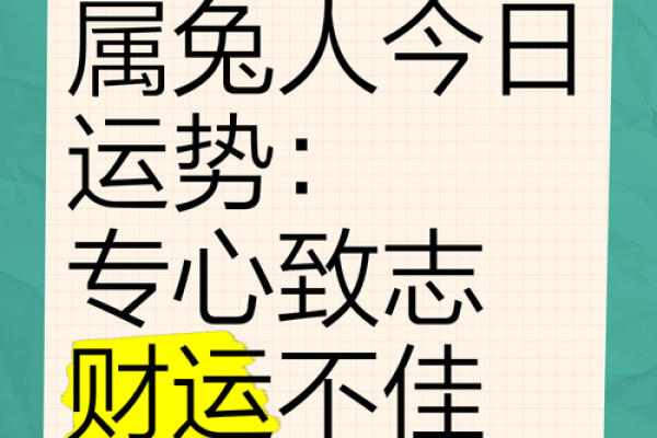 属兔2025年每月运势及运程_2025年属兔运势测算