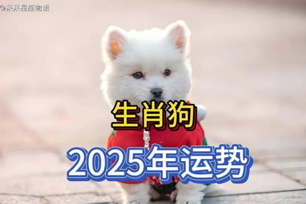 2025年属狗最佳入宅吉日选对日子旺家运