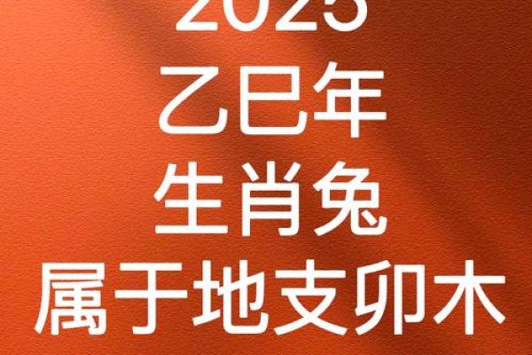 1975的兔2025女今年运气如何 1975年属兔女2025年运势详解全年运程及注意事项