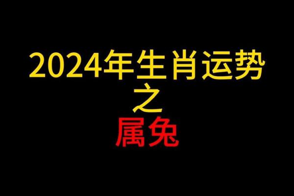 2024龙年属兔运势解析2024年属兔全年运程指南