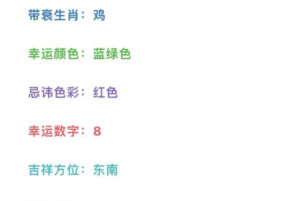 2024龙年属兔运势解析2024年属兔全年运程指南