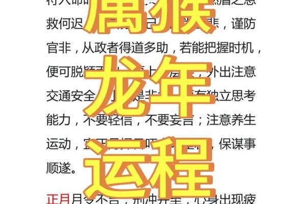 2004年属猴人2025年运势_2025年属猴人的运气