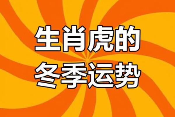 1986年属虎是什么命_农历1986年属虎是什么命